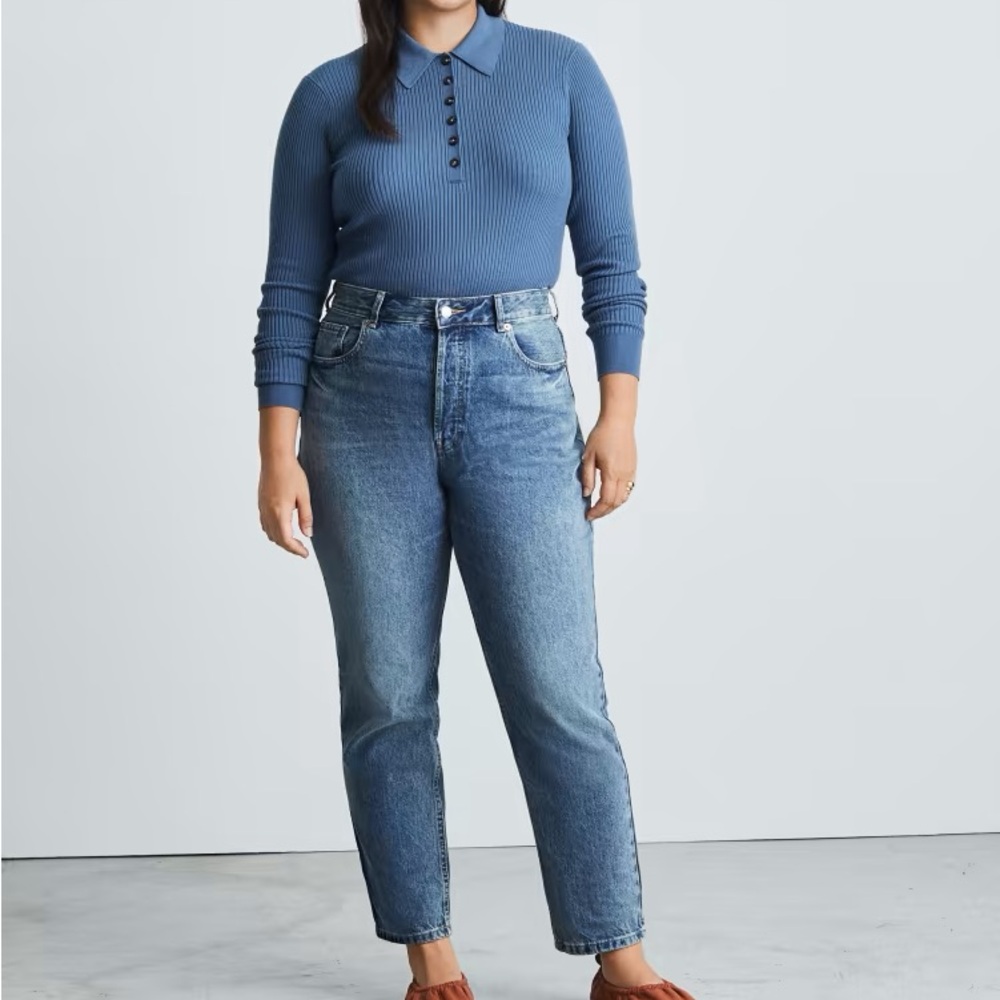 Everlane Curvy 90s Cheeky Jean 28